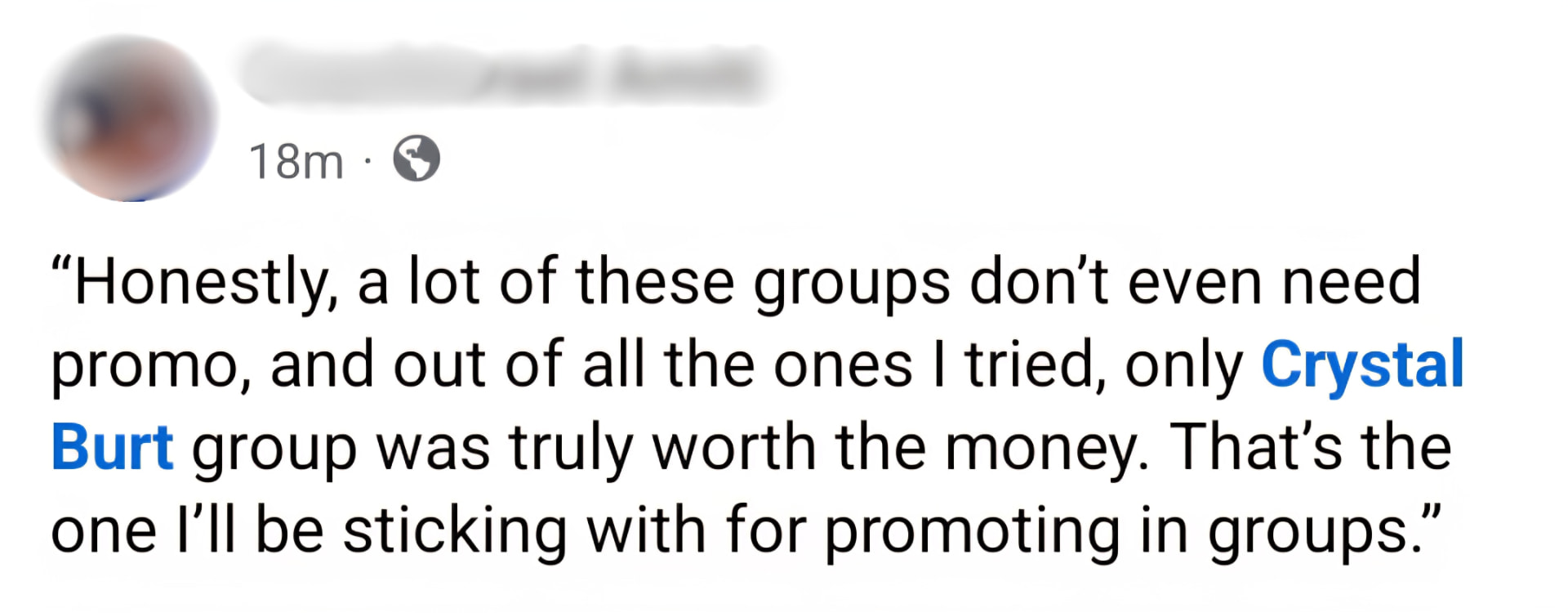 Facebook post screenshot from a member saying Crystal Burt's group was the only paid promo that was truly worth the money